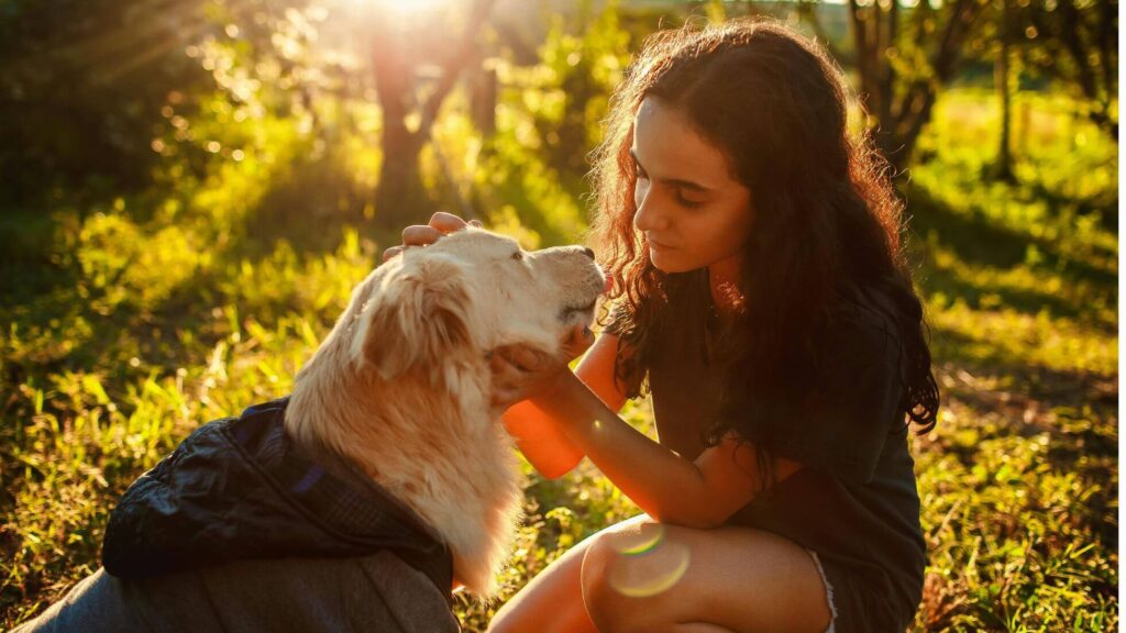 Tutora acariciando seu cachorro ao pôr do sol — cremação de animais My Pet Memo